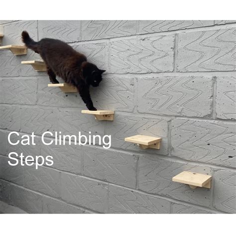 Cat Shelves Cat Playgrounds Cat Steps Cat Toys Wall Steps Cat