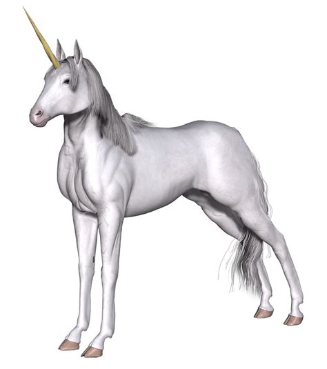 Full White Unicorn Transparent Png Stickpng