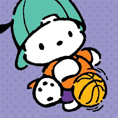 Pochacco Sure Is One Athletic Pup Sanrio Characters Hello Kitty