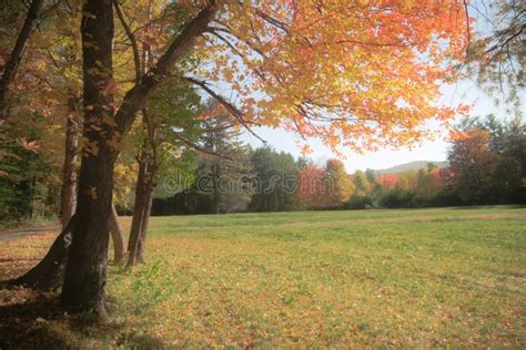 Autumn Meadow stock photo. Image of england, newhampshire - 89417580