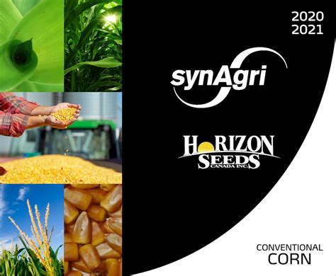 Synagri Products Fertilizer