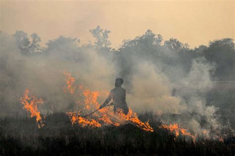 Stubble Burning Punjab Reports 2 060 Farm Fires Severe Very Poor Aqi In Parts Of Haryana