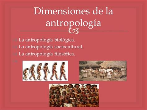 La Antropologia