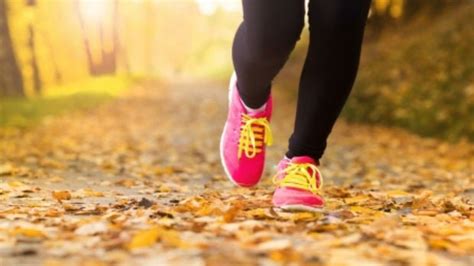 Light jogging is best for a long life—study | Inquirer Technology