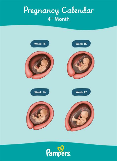 3 4 Month Physical Milestones Informacionpublica Svet Gob Gt