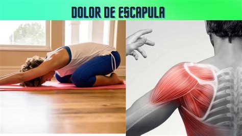 Ejercicios Para El Dolor De Escapula YouTube