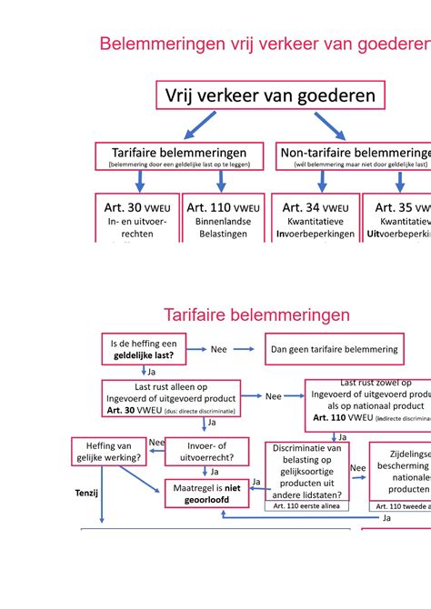 Schema Vrijemarkt Europees Recht Studeersnel