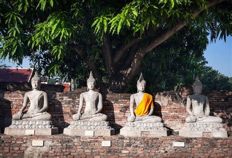 Premium Photo | Buddha statues in thailand