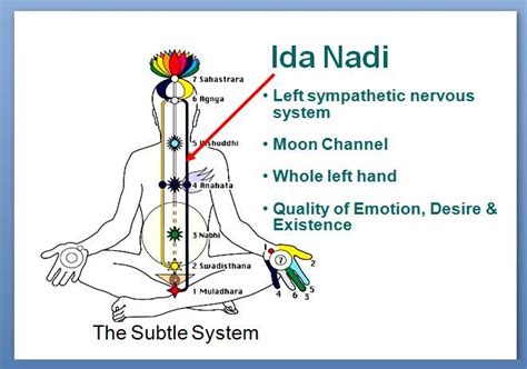 KUNDALINI CHANNELS Intuitive Tantra