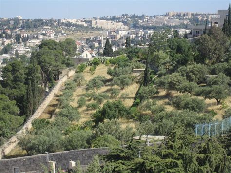 Jerusalem Mt Olives Gethsemane Let Us Picture Jesus There The Night