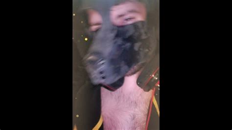 SC Puppy Kyle Mayordomo Come Su Propio Desorden Pornhub Gay