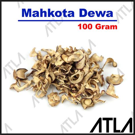 Mahkota Dewa Kering 100 Gram Buah Teh Herbal Obat Jamu Tradisional