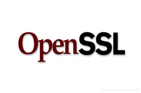 Ssl基础：6使用openssl进行签名和验证openssl 对ko文件签名及验证 Csdn博客