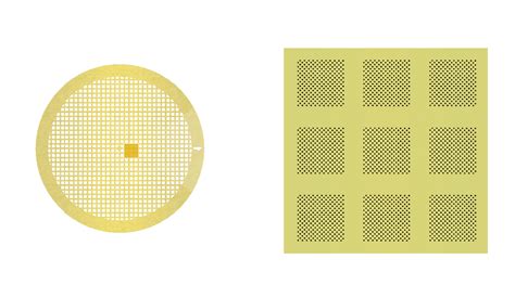 Transmission Electron Microscopy Grids Tem Grids Protochips