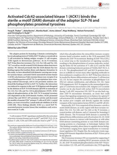 Pdf Activated Cdc42 Associated Kinase 1 Ack1 Binds The Sterile α