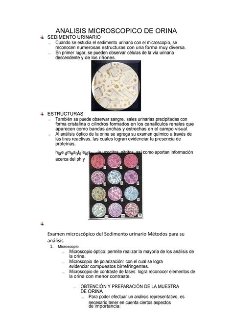 Pdf Analisis Microscopico De Orina Analisis Microscopico De Orina