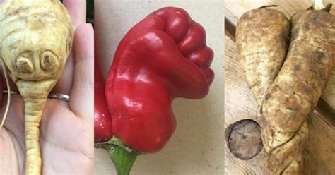 25 Cheeky Photos That Celebrate The Wonders Of Ugly Fruit And