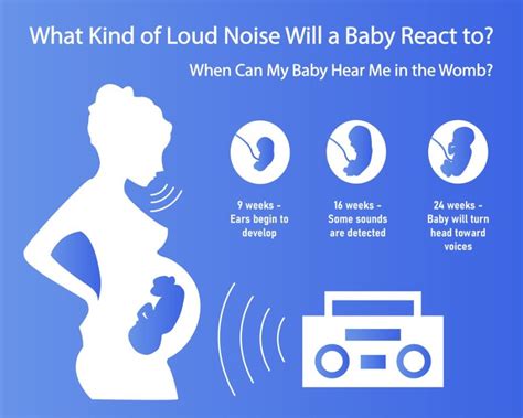 Noise, Pregnancy, and Reproductive Health