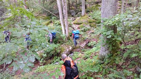 Otter Creek Wilderness Great Cove Adventures