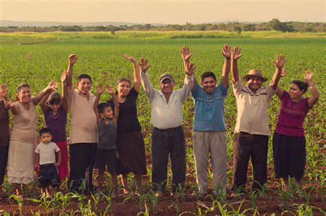 Cinco Estados Con Gran Producción Agrícola Revista La Campiña