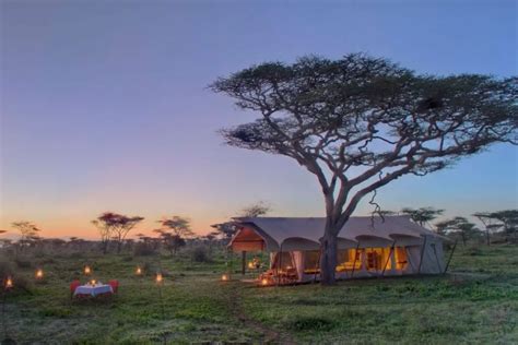 9 Incredibly Luxurious Tented Camps and Lodges in Serengeti