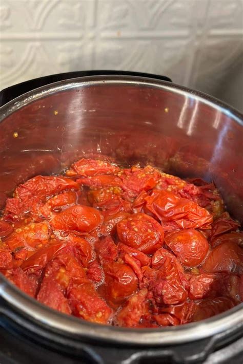 Canning Tomato Sauce With Skins And Seeds How To Guide Artofit