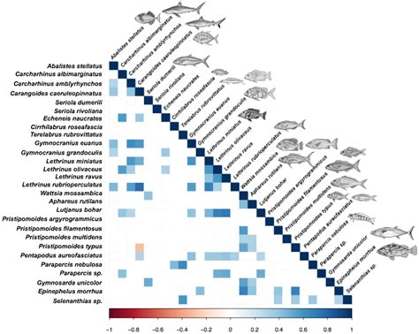 Great Barrier Reef Fish Chart