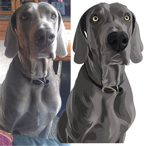 Weimaraner dog illustrations vector pets dog illustrations pet portraits from your photograph ...