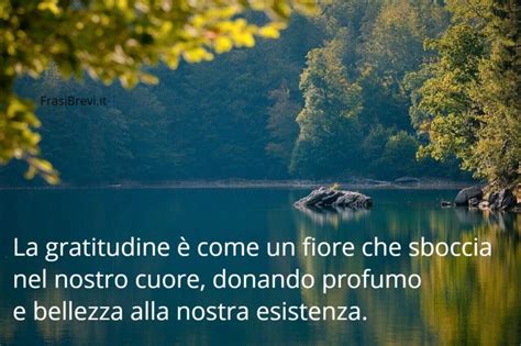 25 Frasi Buddiste Sulla Gratitudine Frasi Brevi