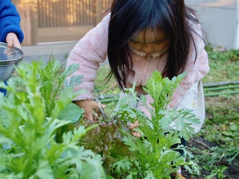 家庭菜園初心者に最適！ 9月に植える野菜5選【畑は小さな大自然vol9】｜マイナビ農業