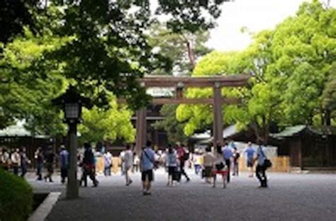 見ごろは7月初旬まで。明治神宮の花菖蒲 寺・神社 All About