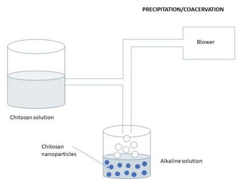 Chitosan Based Nanoparticles For Drug Delivery Encyclopedia Mdpi