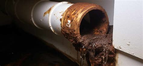 Can A Clogged Drain Cause Low Water Pressure Yes Fix It