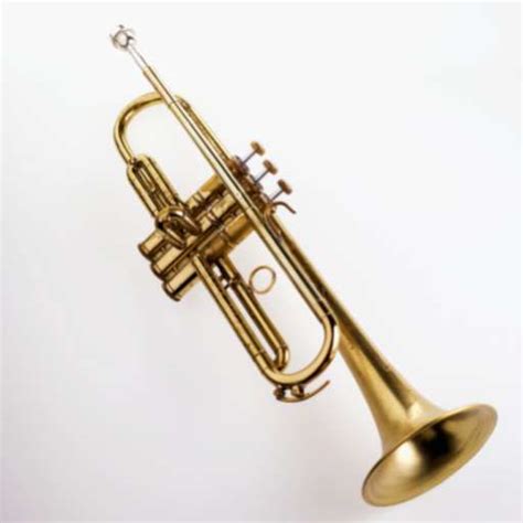 trumpet sounds - Apps on Google Play