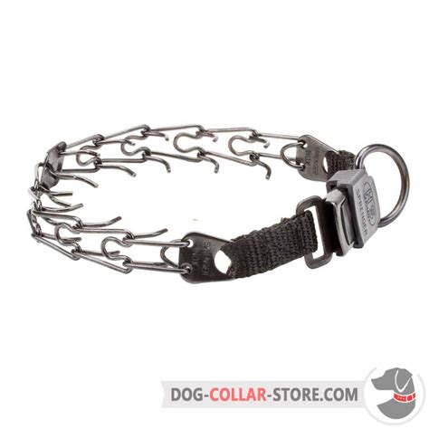 Dog Pinch Collar for Obedience Training