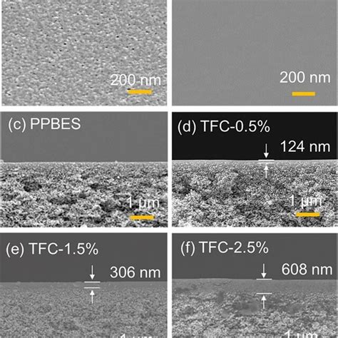 Surface And Cross Section Morphology Of The Ppbes Membrane And Tfc