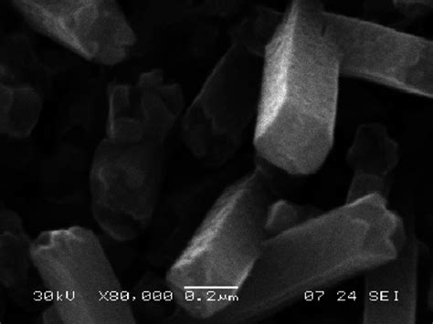 High Magnification Sem Image Of Nm Wide Ruo Nanorods Post