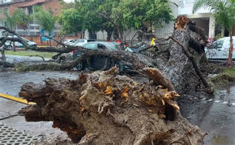 Por La Tormenta Un Rbol Cay Sobre Un Uber Con Pasajeras En