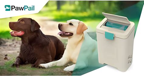 Maintaining A Sustainable Pet Waste Disposal System