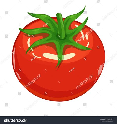 Tomato Isolated Single Simple Cartoon Illustration Stock Vector