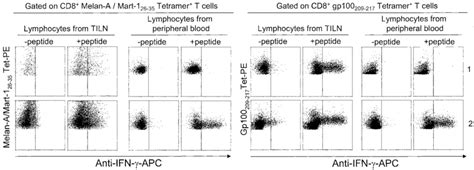 Functional Analysis Of Melan A Mart 1 And Gp100 Specific T Cells From