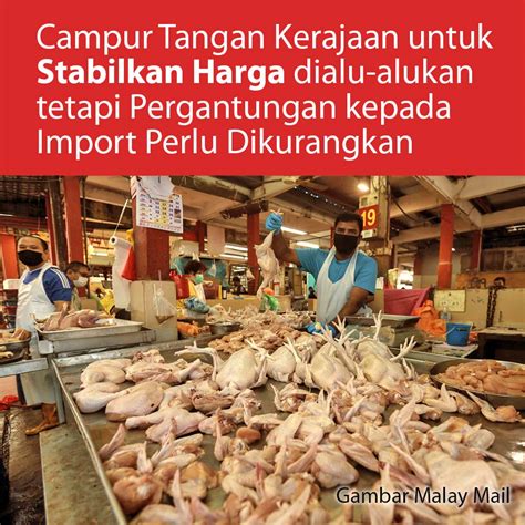 SAM Membantah Cadangan Projek Pembalakan Dan Perlombongan Bijih Timah