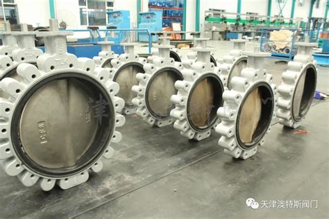 Marine Use Bronze Disc Api Ductile Cast Iron Cf Ss Ss Worm