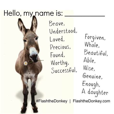 Awesome Donkey Burro Names Artofit