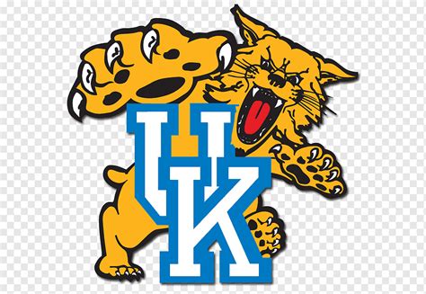 Universidade De Kentucky Kentucky Wildcats Basquete Masculino Kentucky