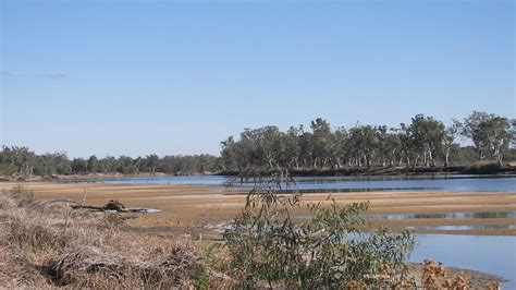 What happens to Australian wildlife during drought? - ABC Radio