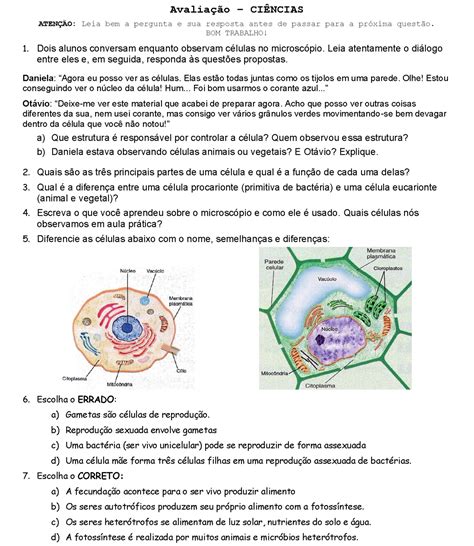 Avaliação Células 6º Ano Ciências