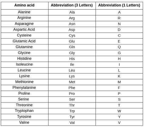 Amino Acids Examples