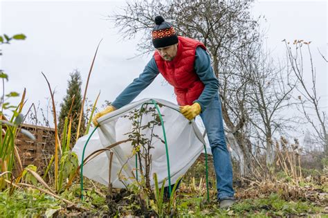 Proteggi Il Giardino Dal Gelo In Inverno Gogoverde