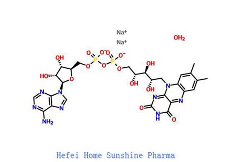 Nicotinamide Adenine Dinucleotide Hydrate